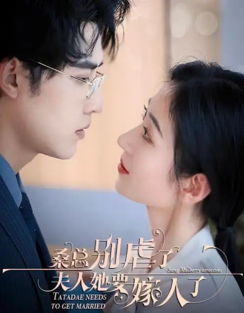 迷雾档案悬疑剧热播电视剧全集在线观看